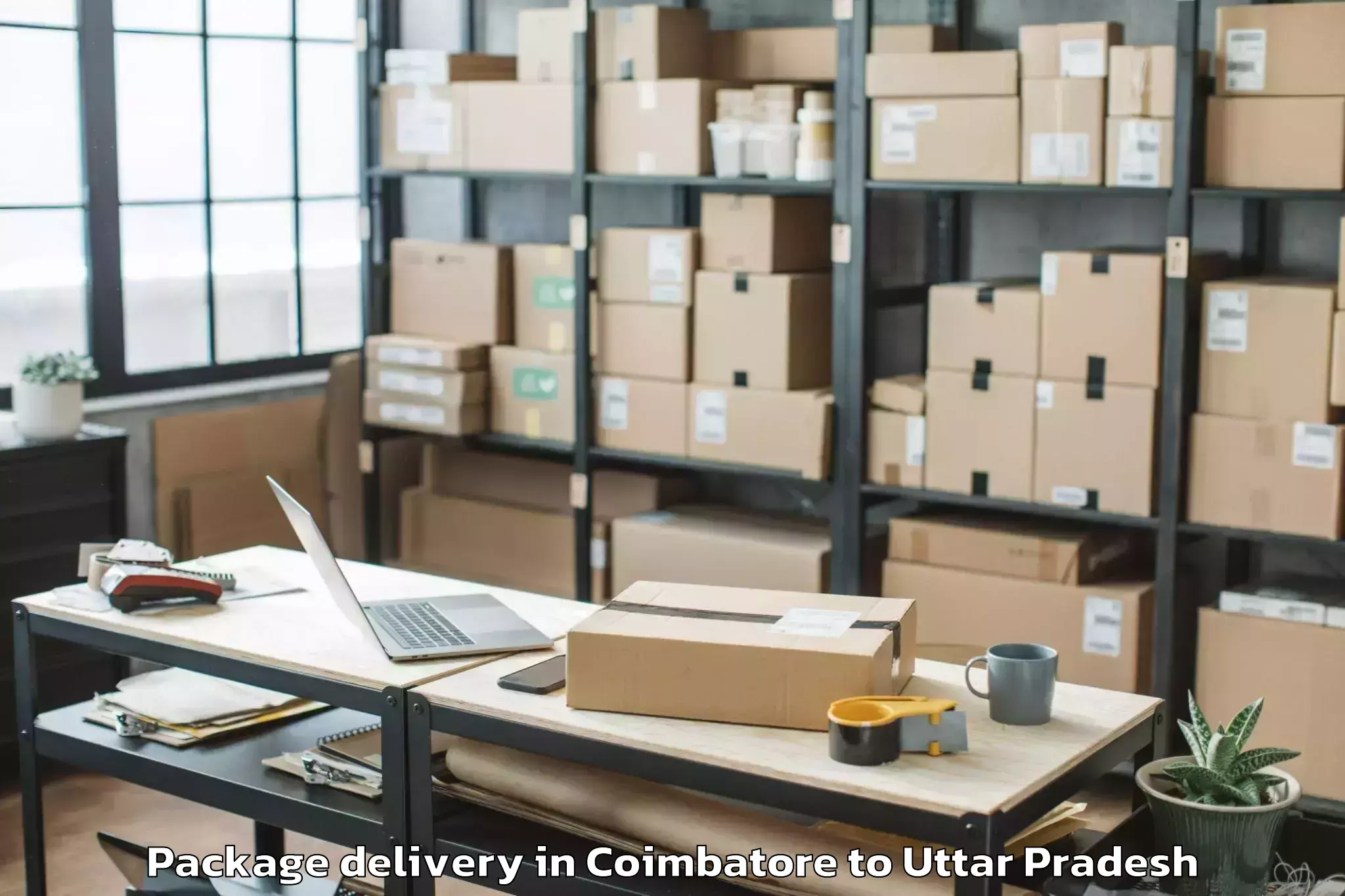 Top Coimbatore to Maudaha Package Delivery Available